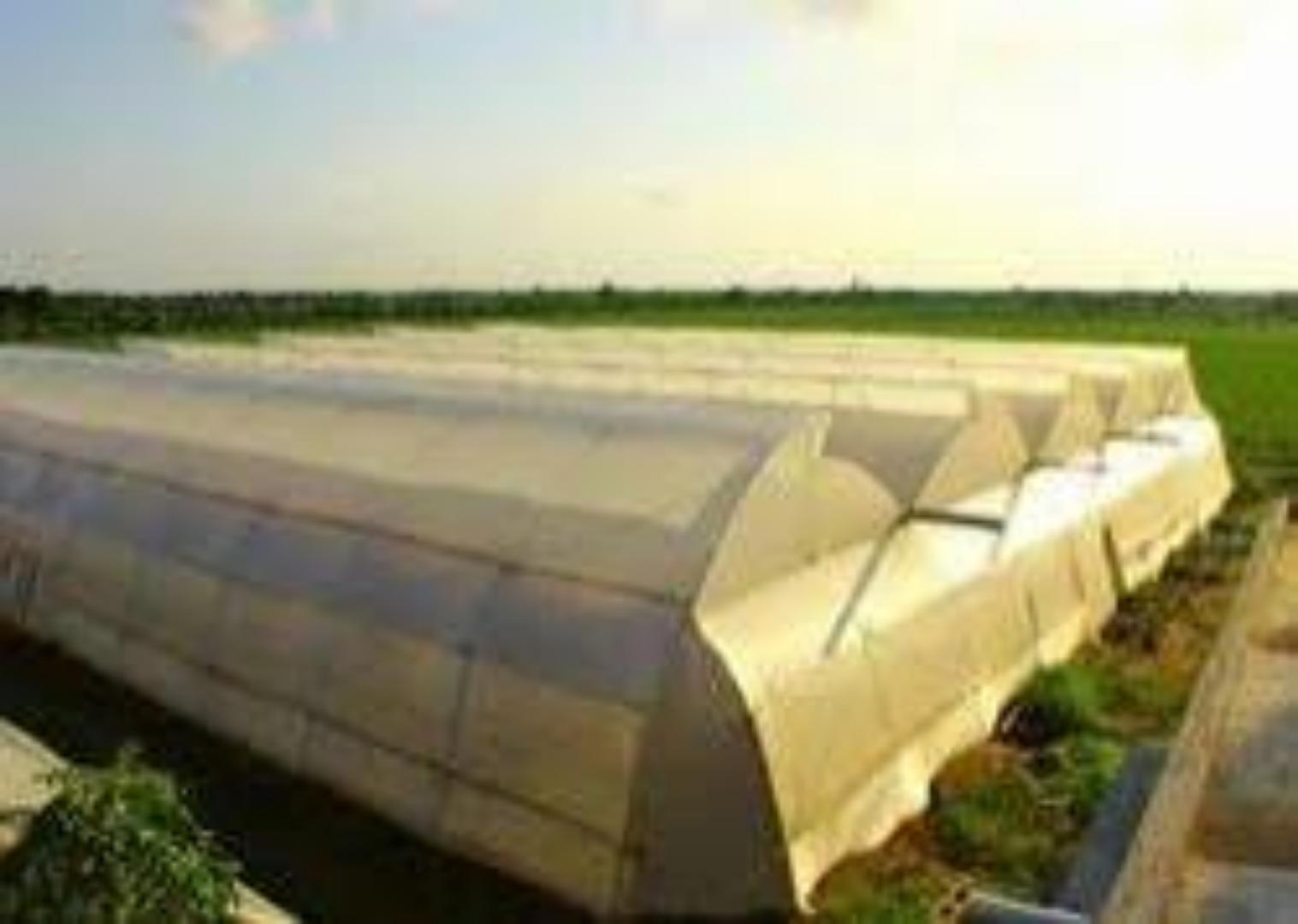 From Seedling to Harvest: Superior Greenhouse Covers for Your Garden .... Maximize your crop yields with an affordable investment