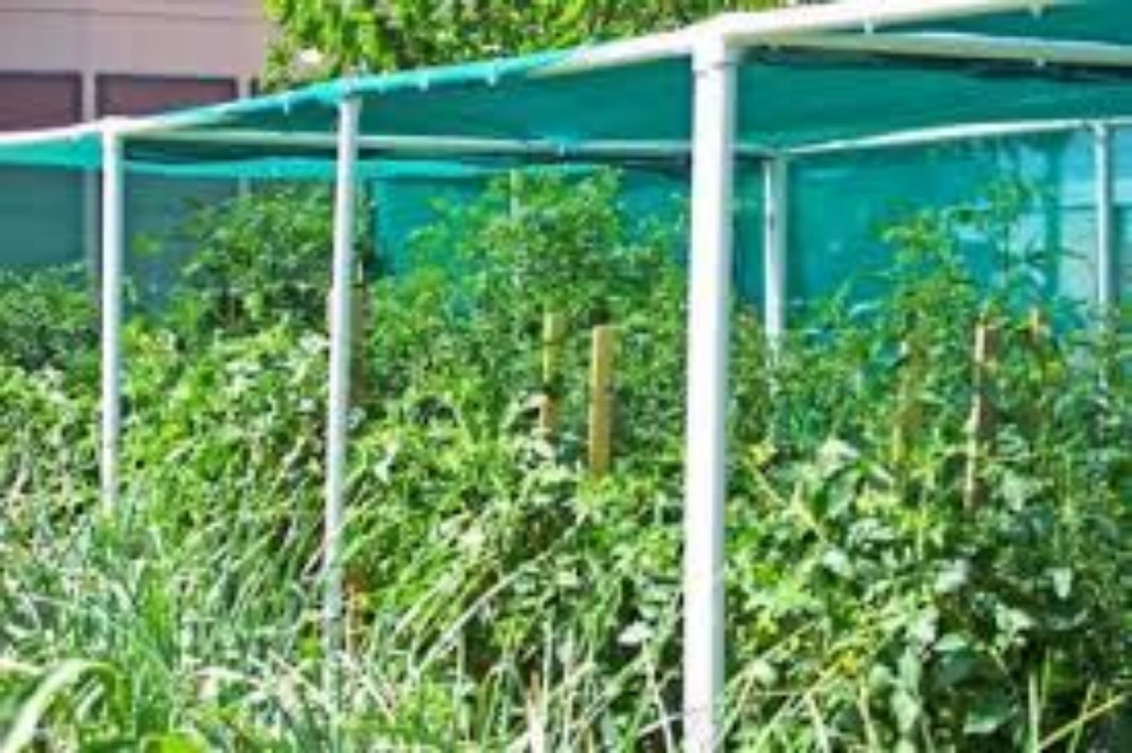 Green house Shade net...... Maximize your crop yields today using our affordable investment agricultural shade nets