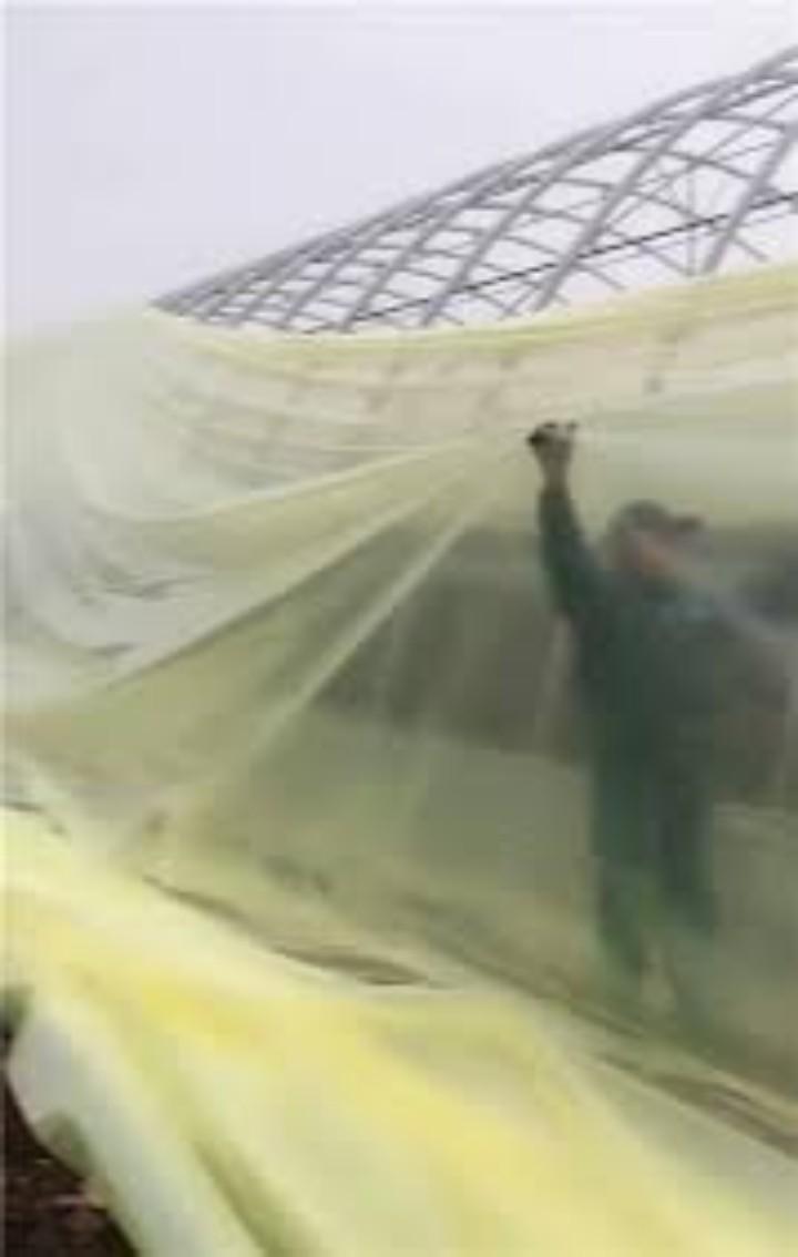 Green house Cover.......... Maximize your crop yields today using our affordable investment greenhouse film cover