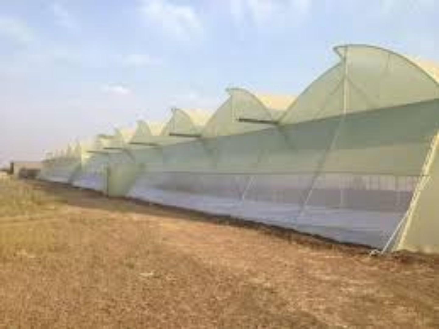 Green house Cover.......... Maximize your crop yields today using our affordable investment greenhouse film cover