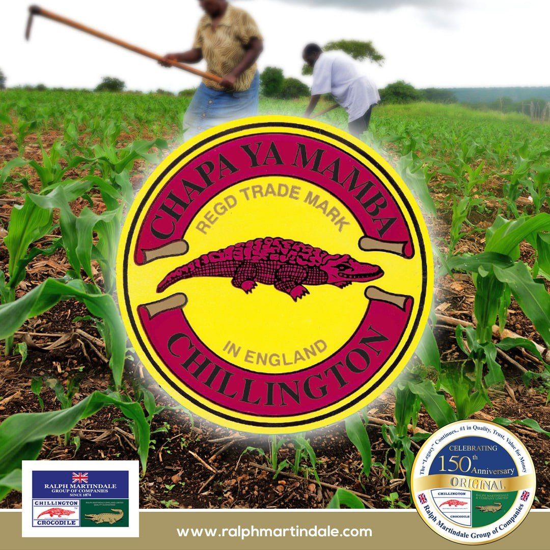 Farming Chillington or Crocodile Jembe / High Quality Steel Blade