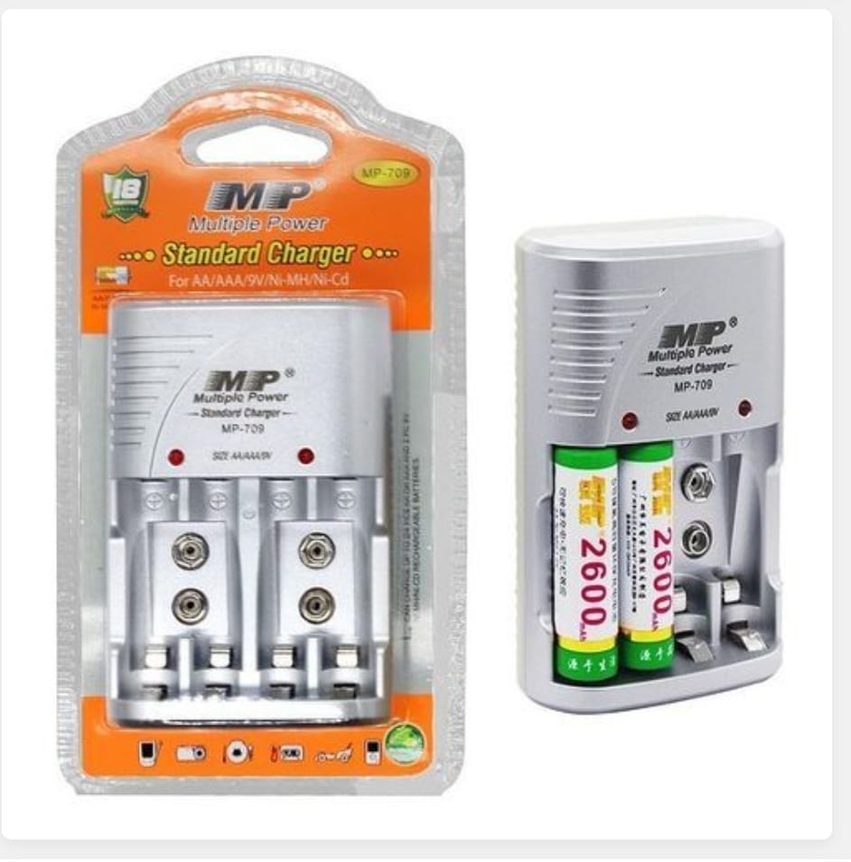 Multiple Power AA AAA 9V Battery Standard Charger Ni-mh Ni-cd 220V