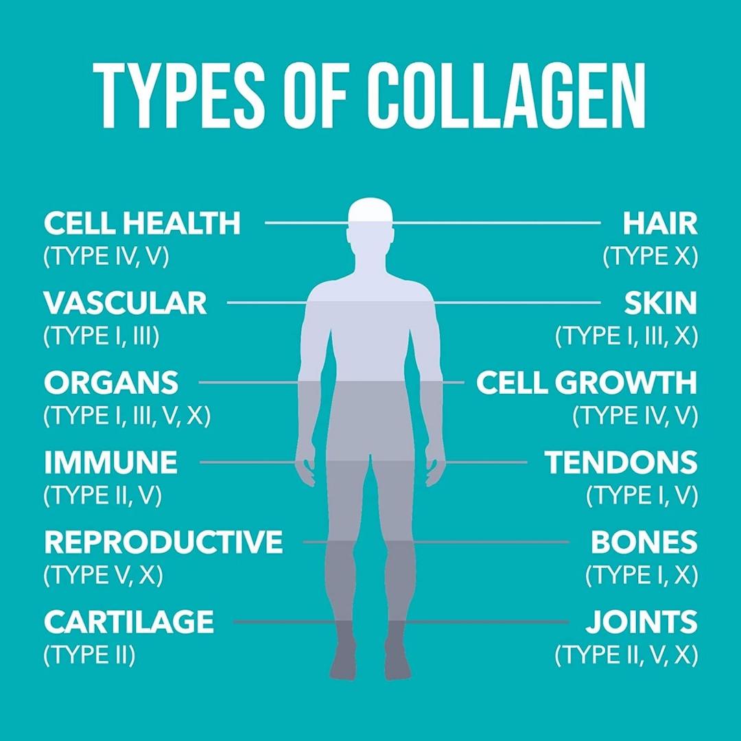 Natures Plus Collagen Powder