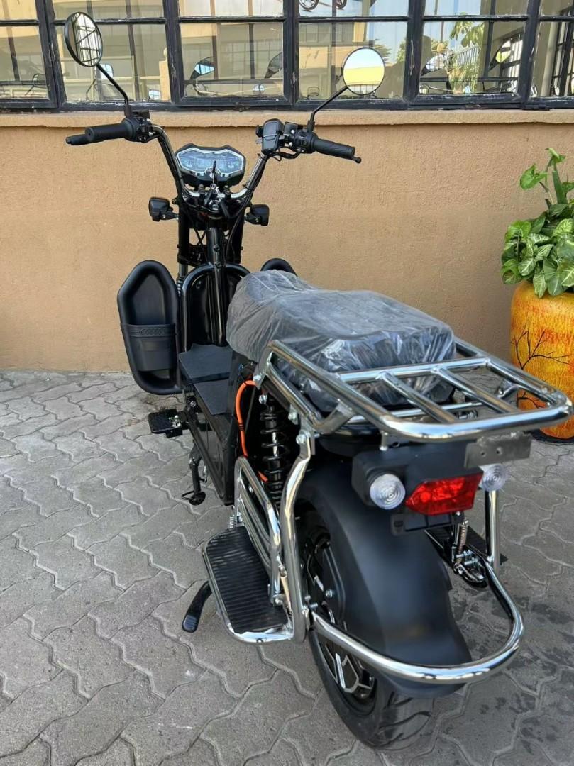 Electric Bike (Ebike)