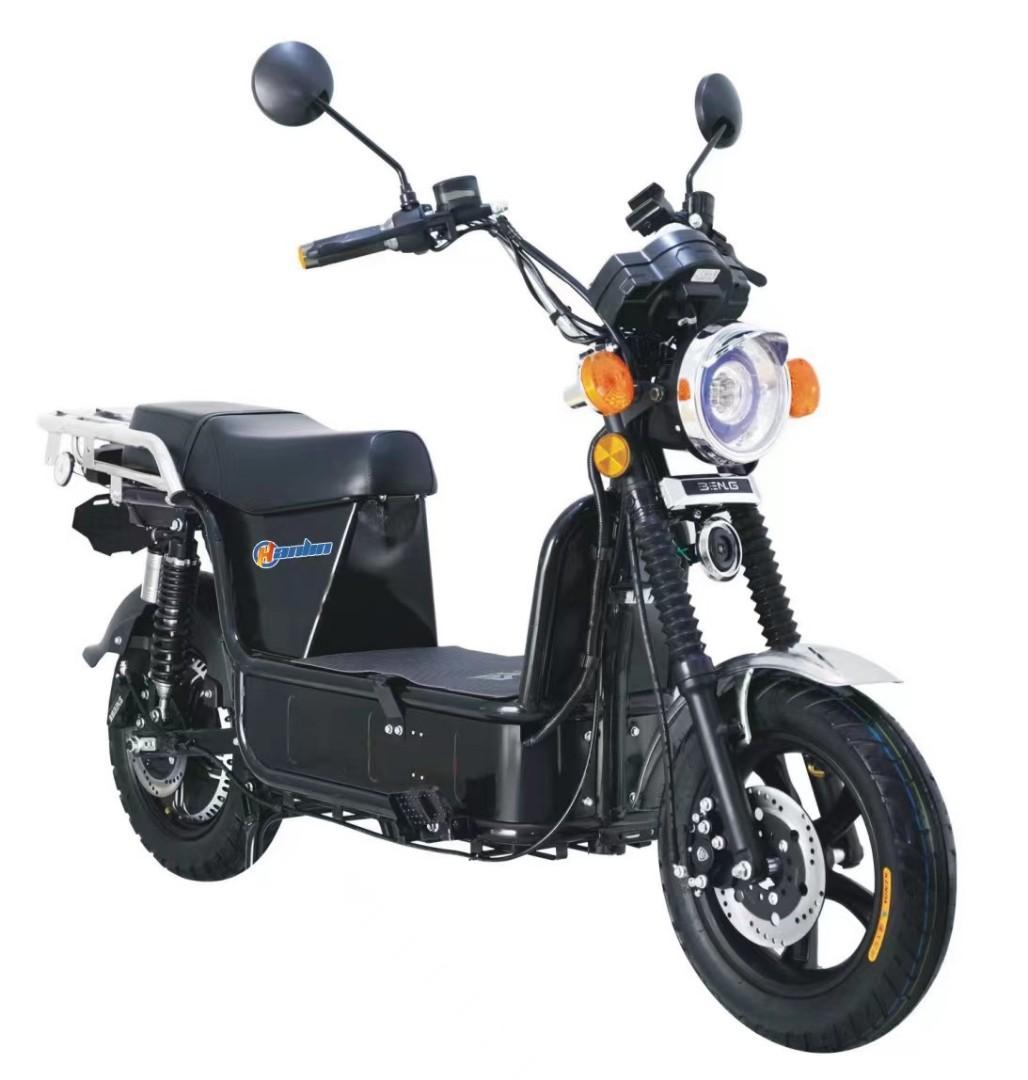 Electric Bike (Ebike)