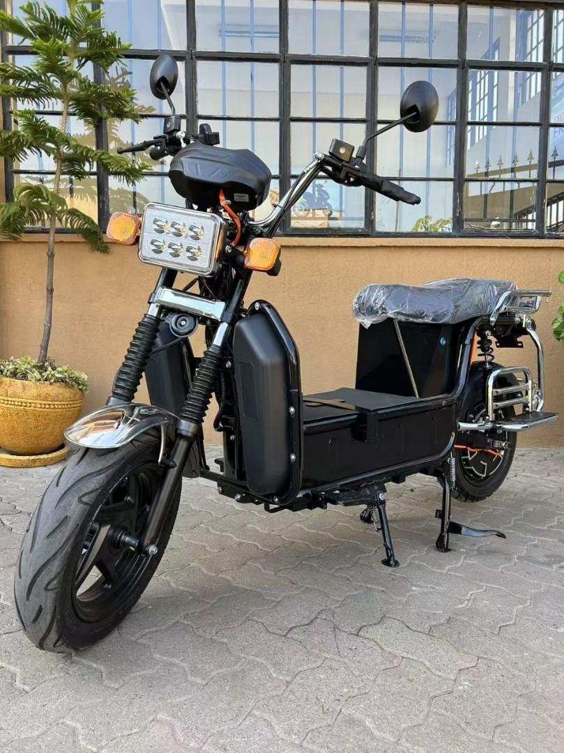 Electric Bike (Ebike)