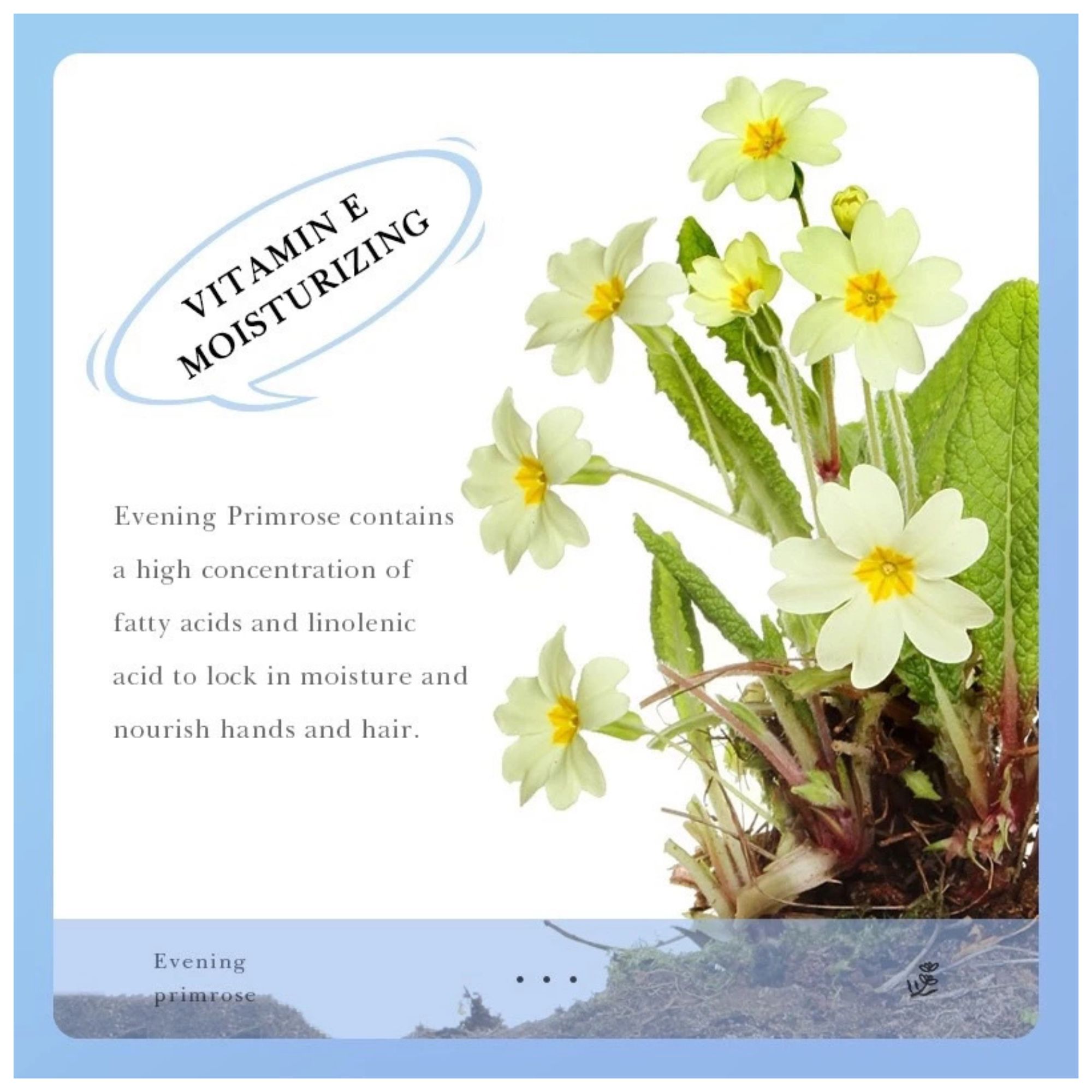 SADOER Evening Primrose Vitamin E Serum is a skincare product that combines the benefits of evening primrose oil and vitamin E.