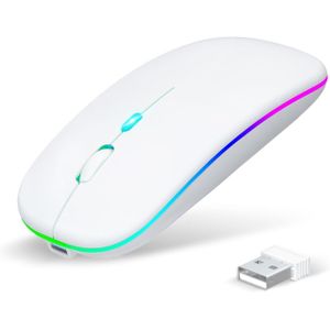 2.4G Bluetooth Dual Mode Rechargeable Wireless Mouse