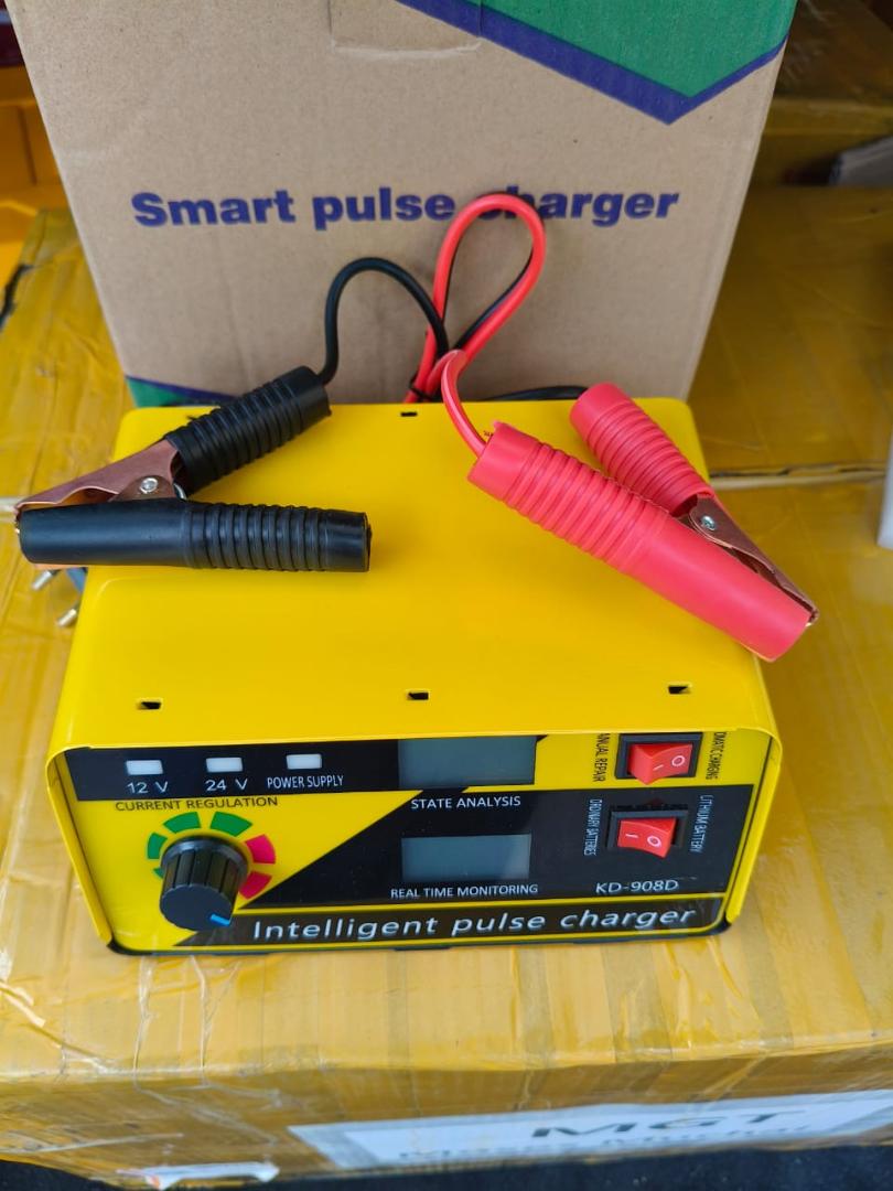 Intelligent Smart Battery Charger 12/24V