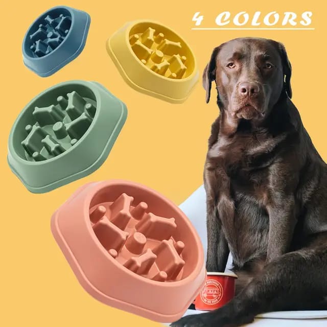 Slow feeder pet bowl for small animals cat and dogs
