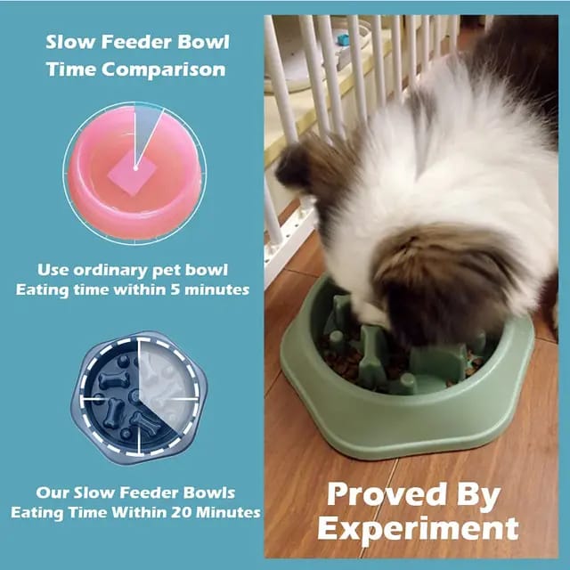 Slow feeder pet bowl for small animals cat and dogs