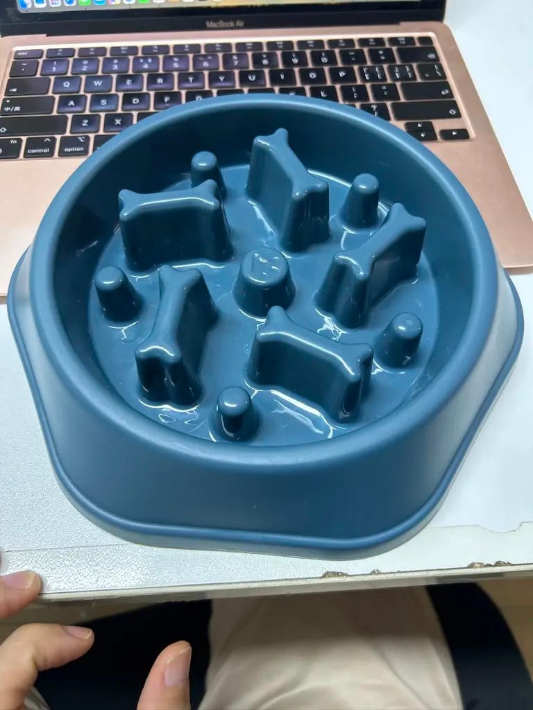 Slow feeder pet bowl for small animals cat and dogs