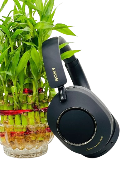 Wireless Music WH-1000XM8 SONY The Best Wireless Noise Canceling Headphone