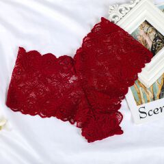 5 pack Plus Size Seductive Lace Boyshorts Panties Women Clothes- Low Waist Comfortable Plus Size Underwear for Women