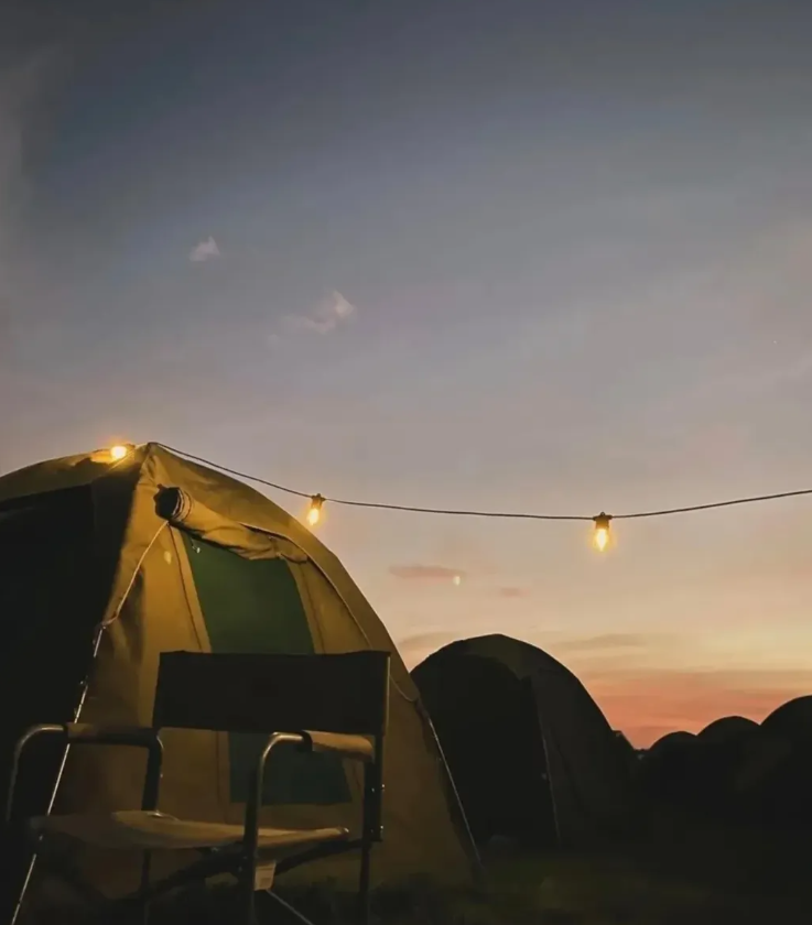 Solar String lights for decor lighting in gazebo,restaurants or any other decor place.