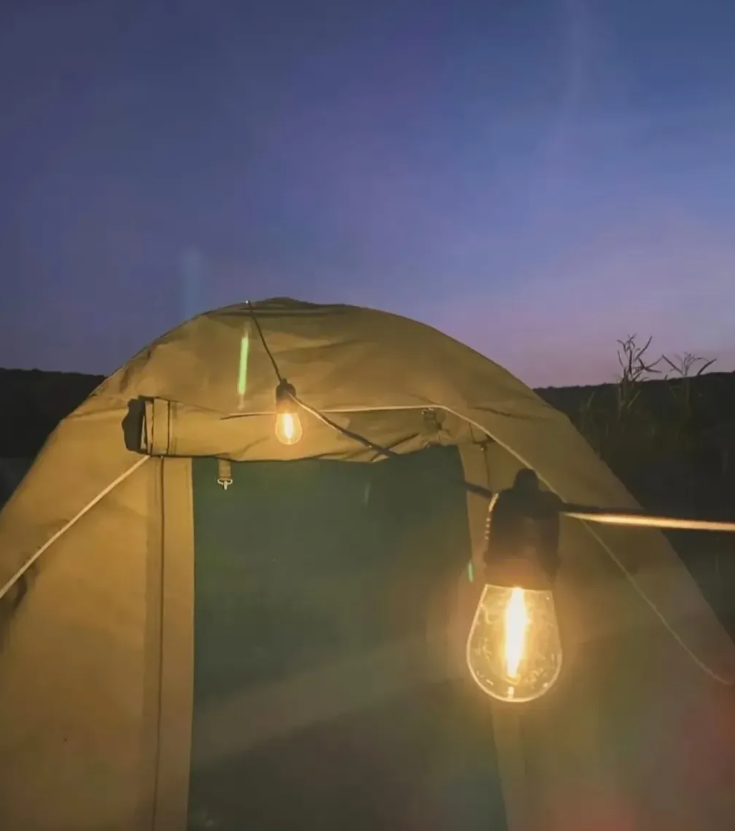 Solar String lights for decor lighting in gazebo,restaurants or any other decor place.
