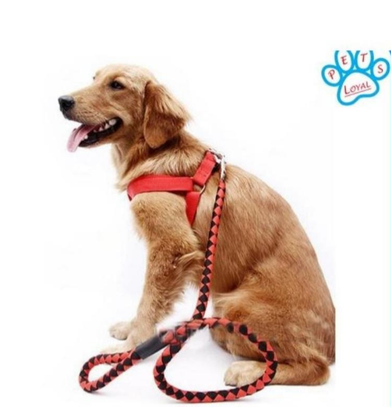 High Quality Nylon Dog Harness And Leash Double Layer