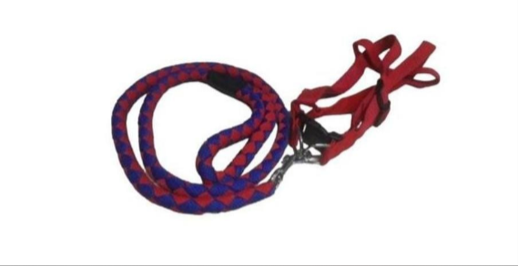 High Quality Nylon Dog Harness And Leash Double Layer