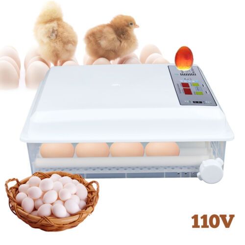Egg Incubator 64 Eggs Fully Digital Automatic Hatcher Fits Hatching Chicken Farm