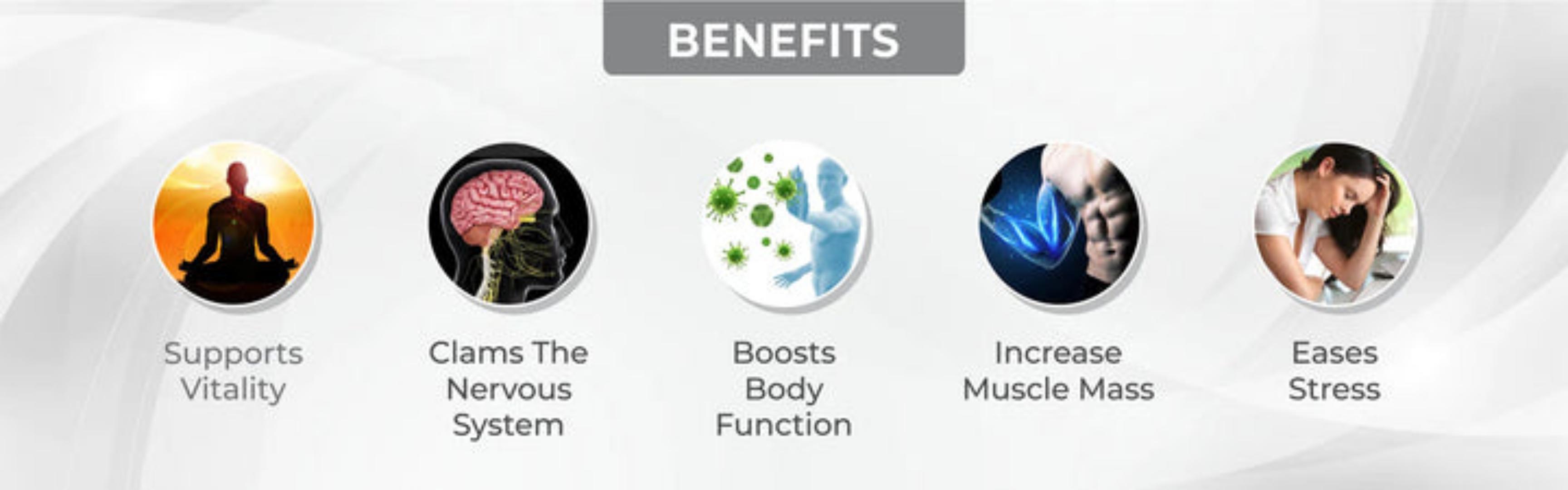 Ashwagandha Tablets 500 mg.: relaxation, calming nervous system.