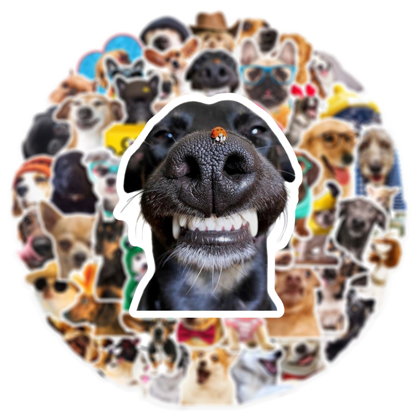 50 pcs Funny Dog Stickers Cartoon Cute Decals Toy Stationery Guitar Phone Bicycle Laptop Luggage Car Graffiti Kids Sticker