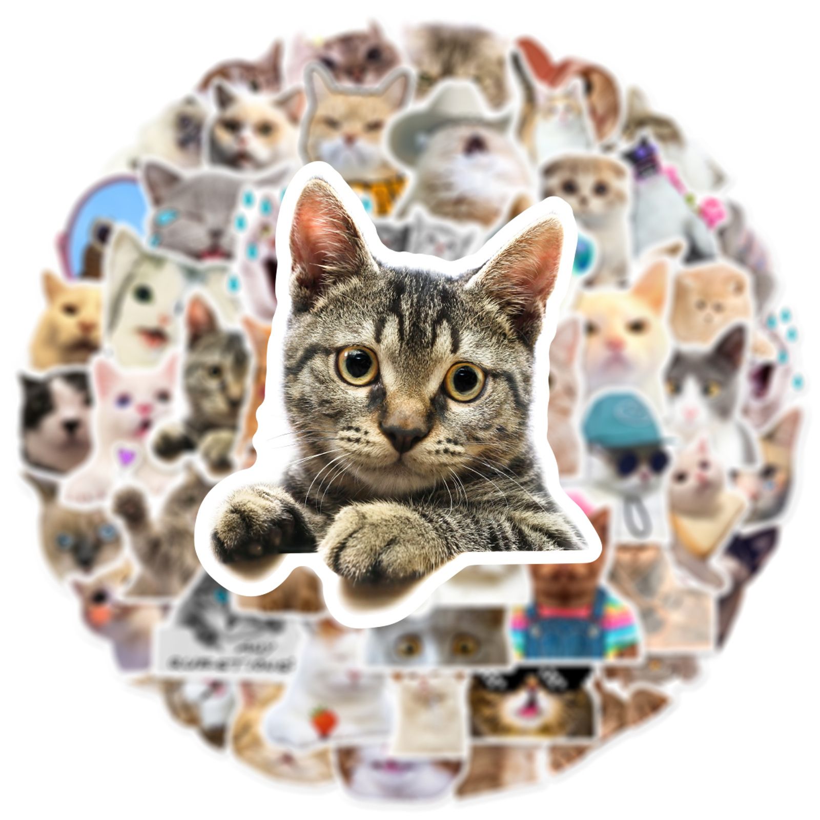 50 pcs Funny Dog Stickers Cartoon Cute Decals Toy Stationery Guitar Phone Bicycle Laptop Luggage Car Graffiti Kids Sticker