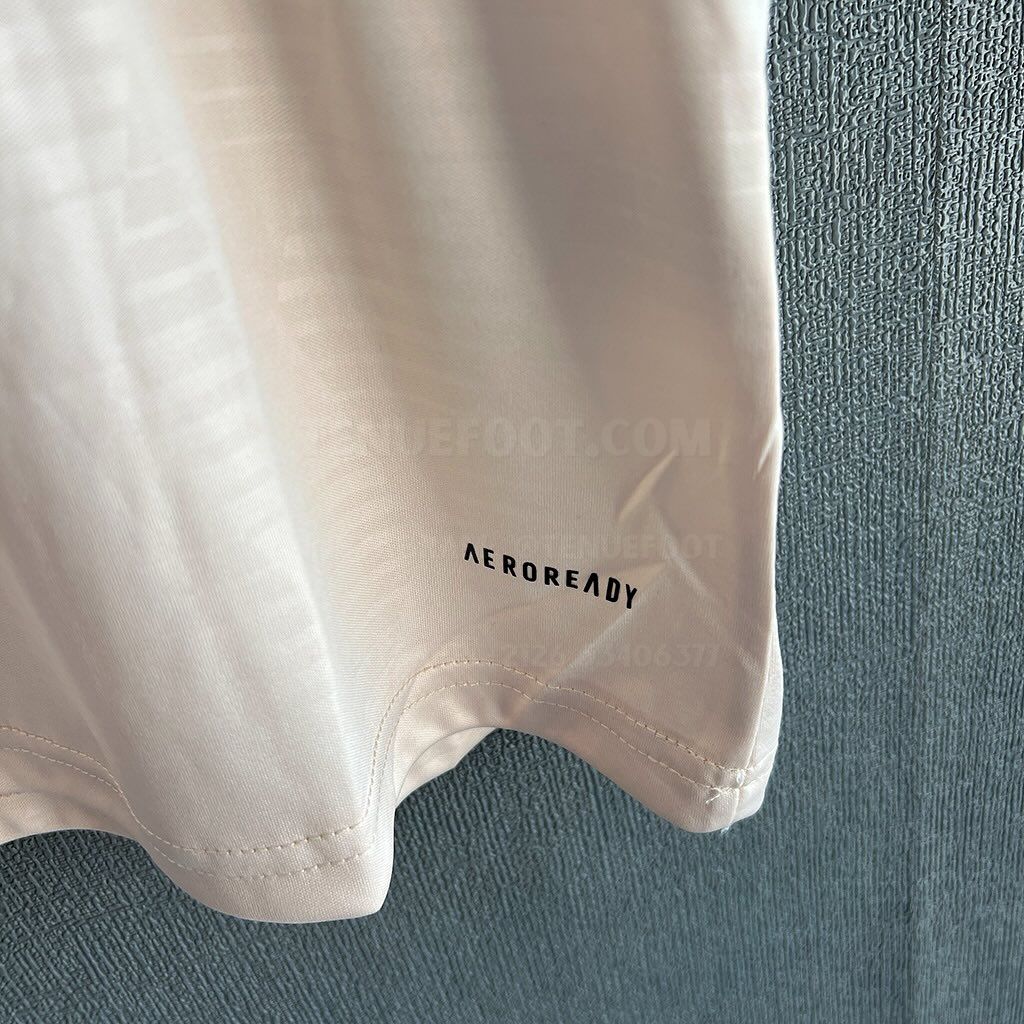 Bayern 3rd kit 24/25 Fan Version