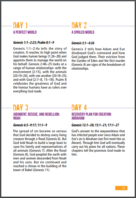 ESV Youth Bible | Christian Bible ESV | English Standard Version (ESV) | Youth Bible | Christian Gift Idea | Outreach Material | Bible | Bibles