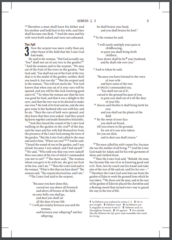 ESV Youth Bible | Christian Bible ESV | English Standard Version (ESV) | Youth Bible | Christian Gift Idea | Outreach Material | Bible | Bibles