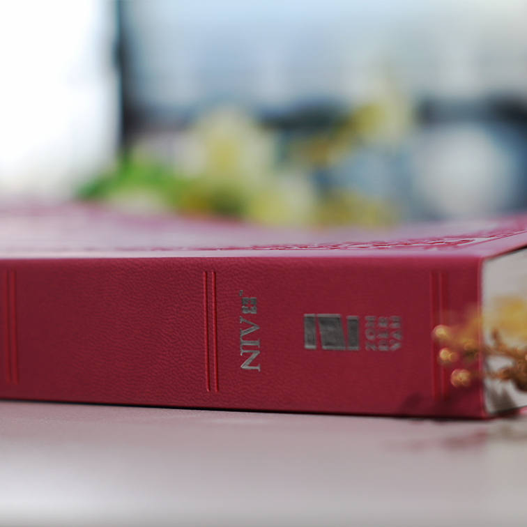 NIV Holy Bible Soft Touch Edition Pink | Comfort Print | Imitation Leather | Christian Bible NIV | New International Bible (NIV) | Floral Bible | Gift Idea | Pink Bible