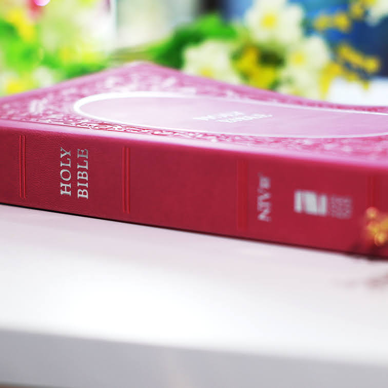 NIV Holy Bible Soft Touch Edition Pink | Comfort Print | Imitation Leather | Christian Bible NIV | New International Bible (NIV) | Floral Bible | Gift Idea | Pink Bible