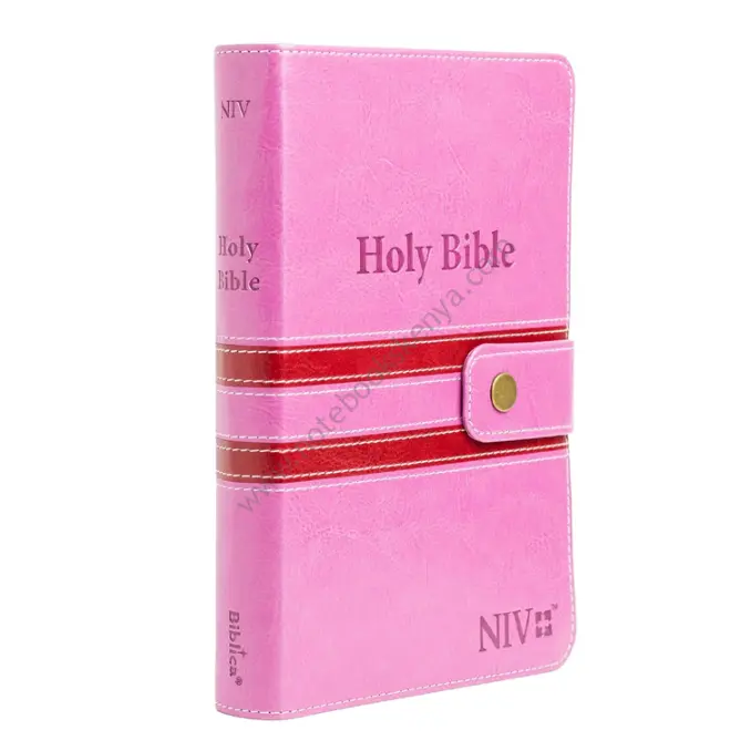 NIV Bible |  Pink/ Blue Press Button | Duotone – Pink & Blue | Christian Bible NIV | The New International Version (NIV) | Gift Idea | Pink Bible | Blue Bible | Bible with Button