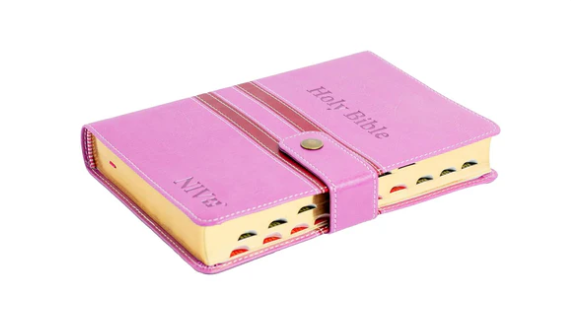 NIV Bible |  Pink/ Blue Press Button | Duotone – Pink & Blue | Christian Bible NIV | The New International Version (NIV) | Gift Idea | Pink Bible | Blue Bible | Bible with Button