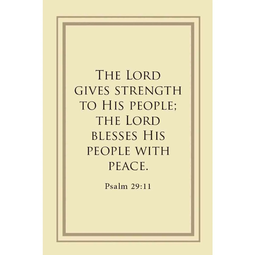 Promises From God for Every Man | Boxed Blessing Cards | Prayer Cards | Male Female Gift | Christian Gift | Pocket Size Scripture Cards | Masculine Gift | Father's Gift Idea
