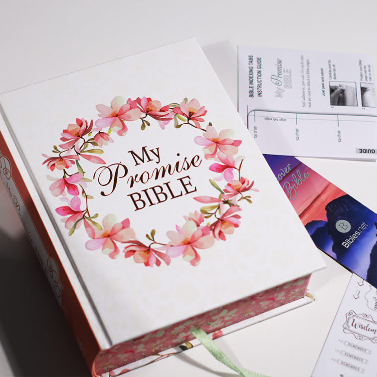 KJV Leather Pink, Blue Butterflies and Flower Garland Faux Leather My Promise Bible – Journaling Edition | Christian Bible KJV | King James Version (KJV) | Floral Bible | Girl Gift  | Journaling Bible