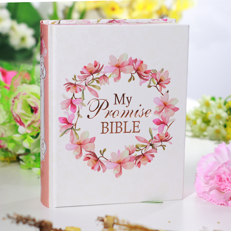 KJV Leather Pink, Blue Butterflies and Flower Garland Faux Leather My Promise Bible – Journaling Edition | Christian Bible KJV | King James Version (KJV) | Floral Bible | Girl Gift  | Journaling Bible