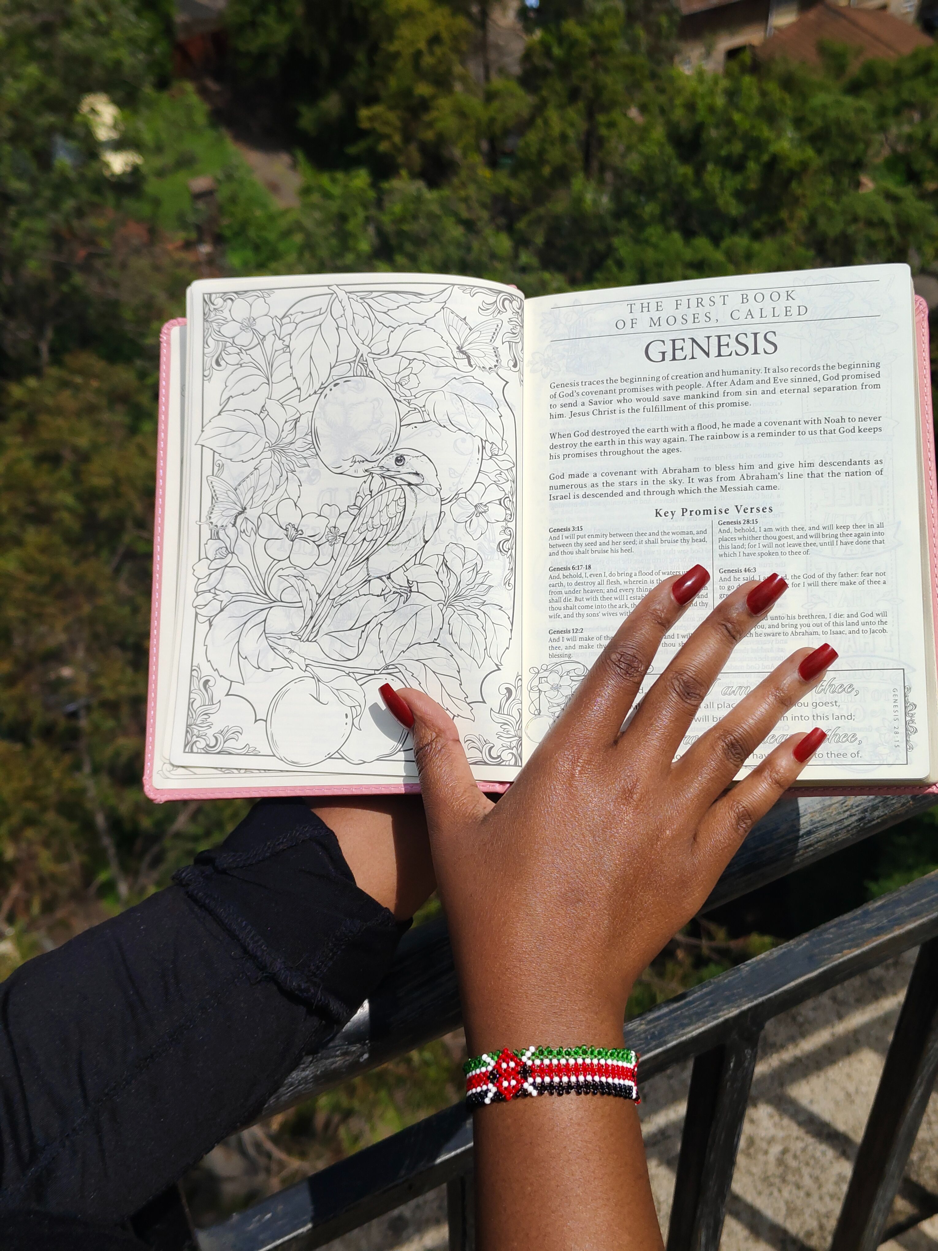 KJV My Promise Bible – Flower Garland Edition | Christian Bible KJV | King James Version (KJV) | Floral Bible | Girl Gift  | Journaling Bible | Coloring Bible