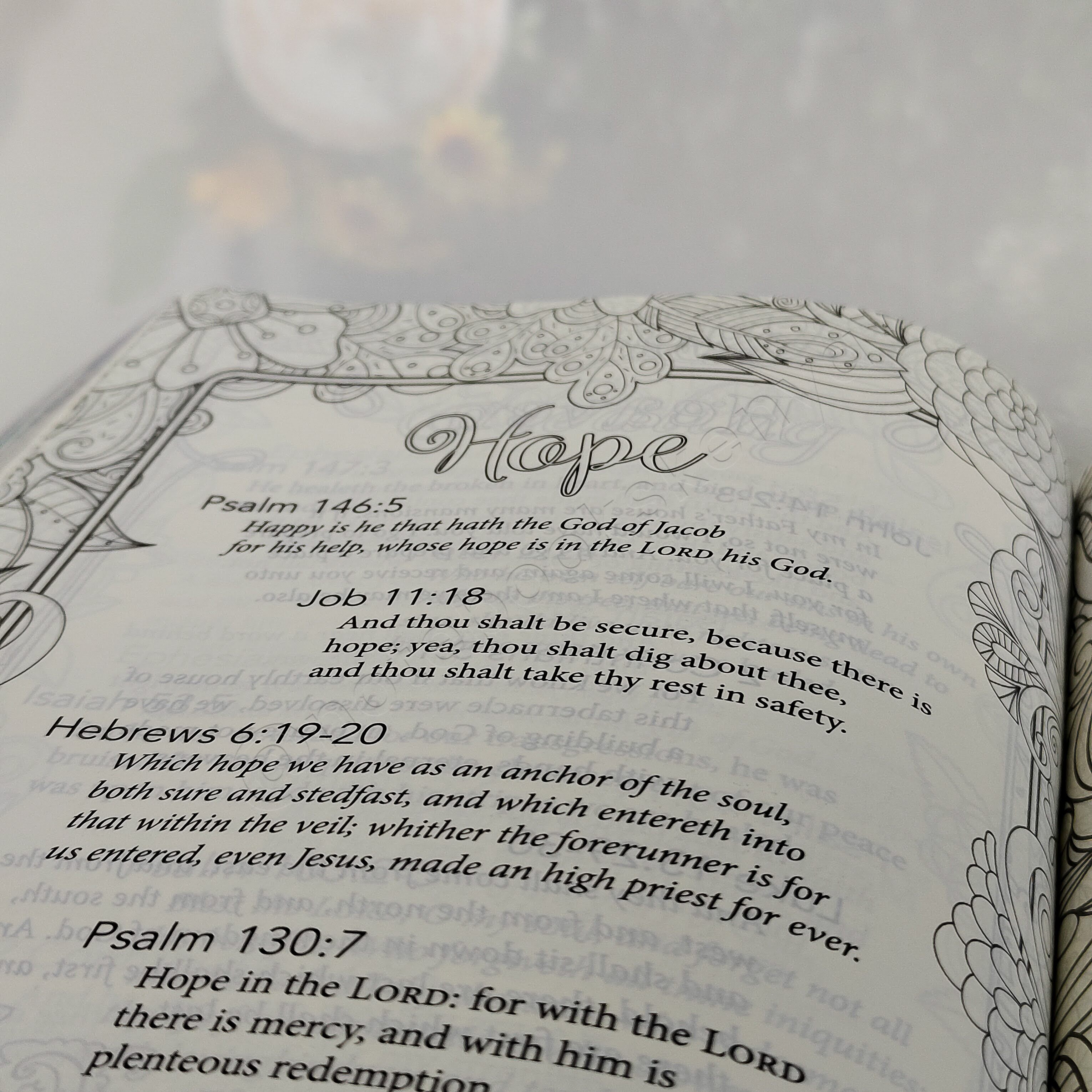 KJV My Promise Bible – Butterflies Edition | Christian Bible KJV | King James Version (KJV) | Floral Bible | Girl Gift  | Journaling Bible | Coloring Bible