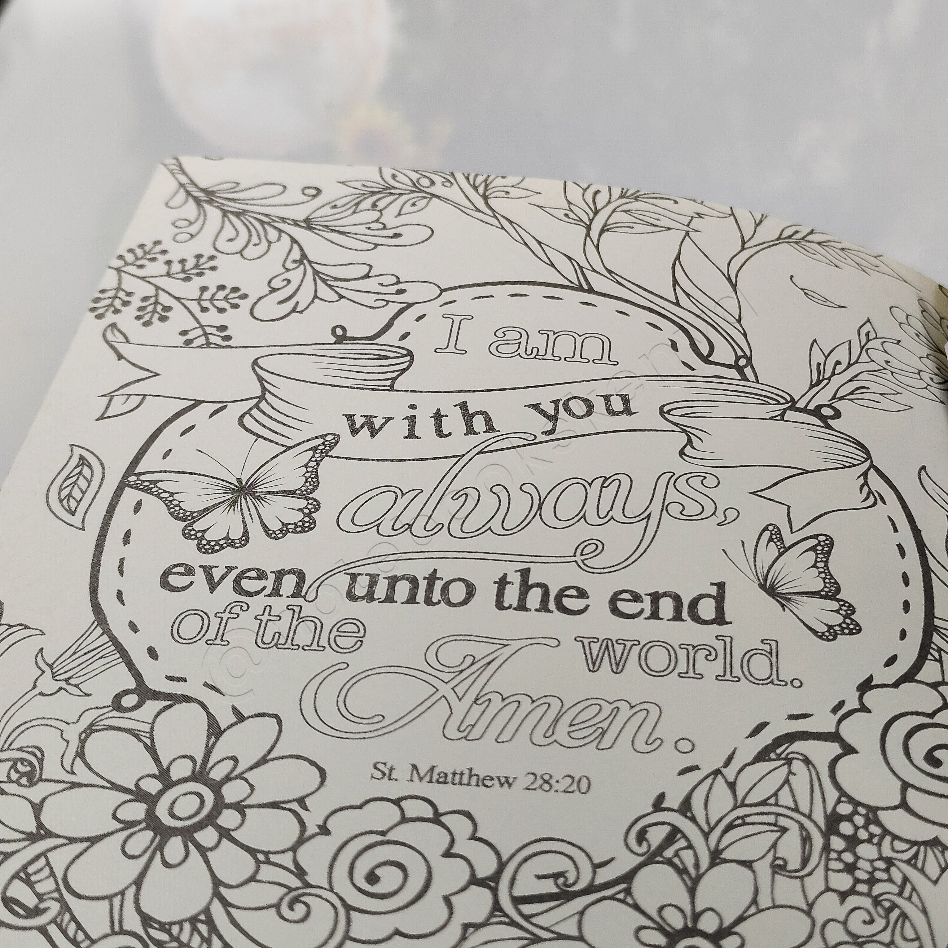 KJV My Promise Bible – Butterflies Edition | Christian Bible KJV | King James Version (KJV) | Floral Bible | Girl Gift  | Journaling Bible | Coloring Bible