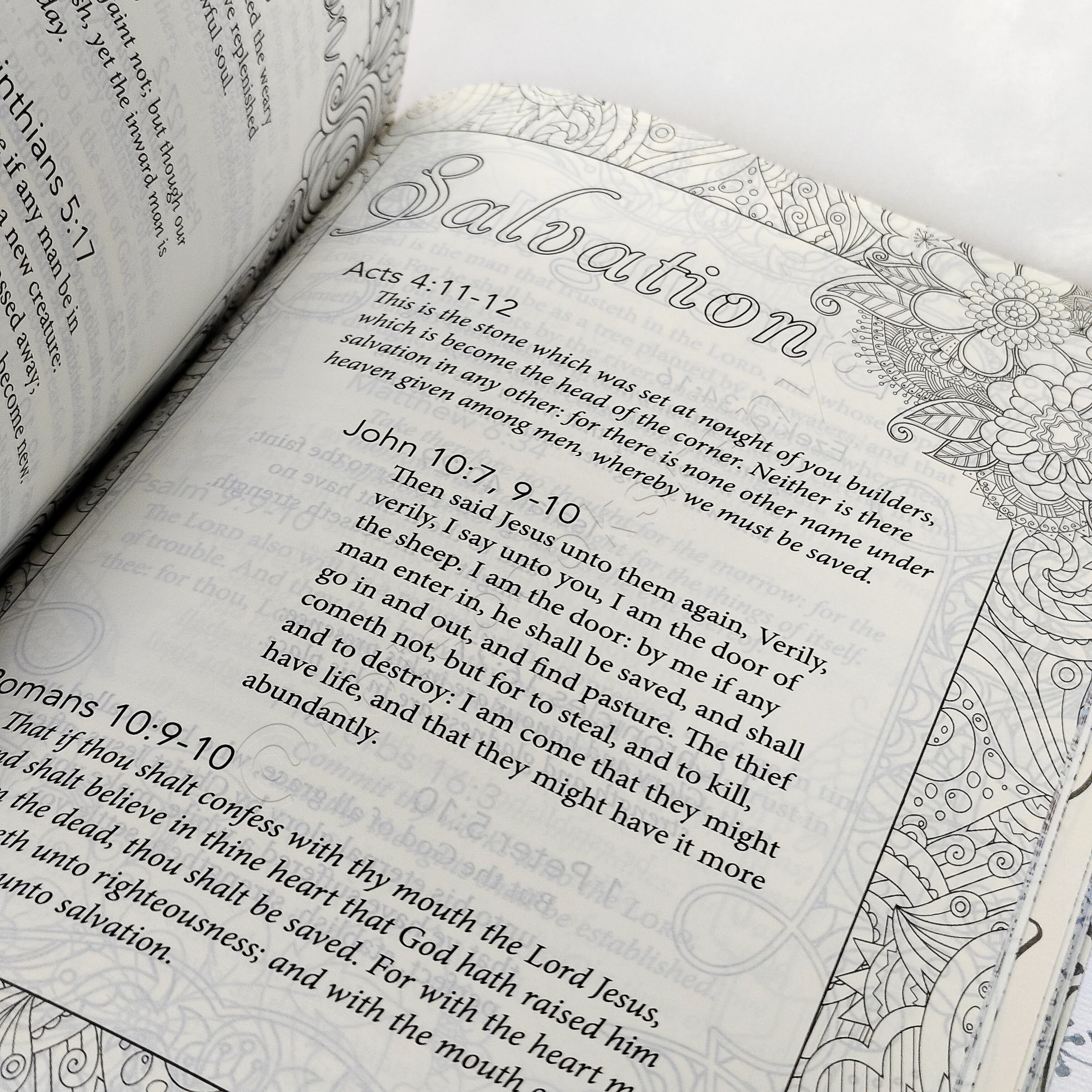 KJV My Promise Bible – Butterflies Edition | Christian Bible KJV | King James Version (KJV) | Floral Bible | Girl Gift  | Journaling Bible | Coloring Bible
