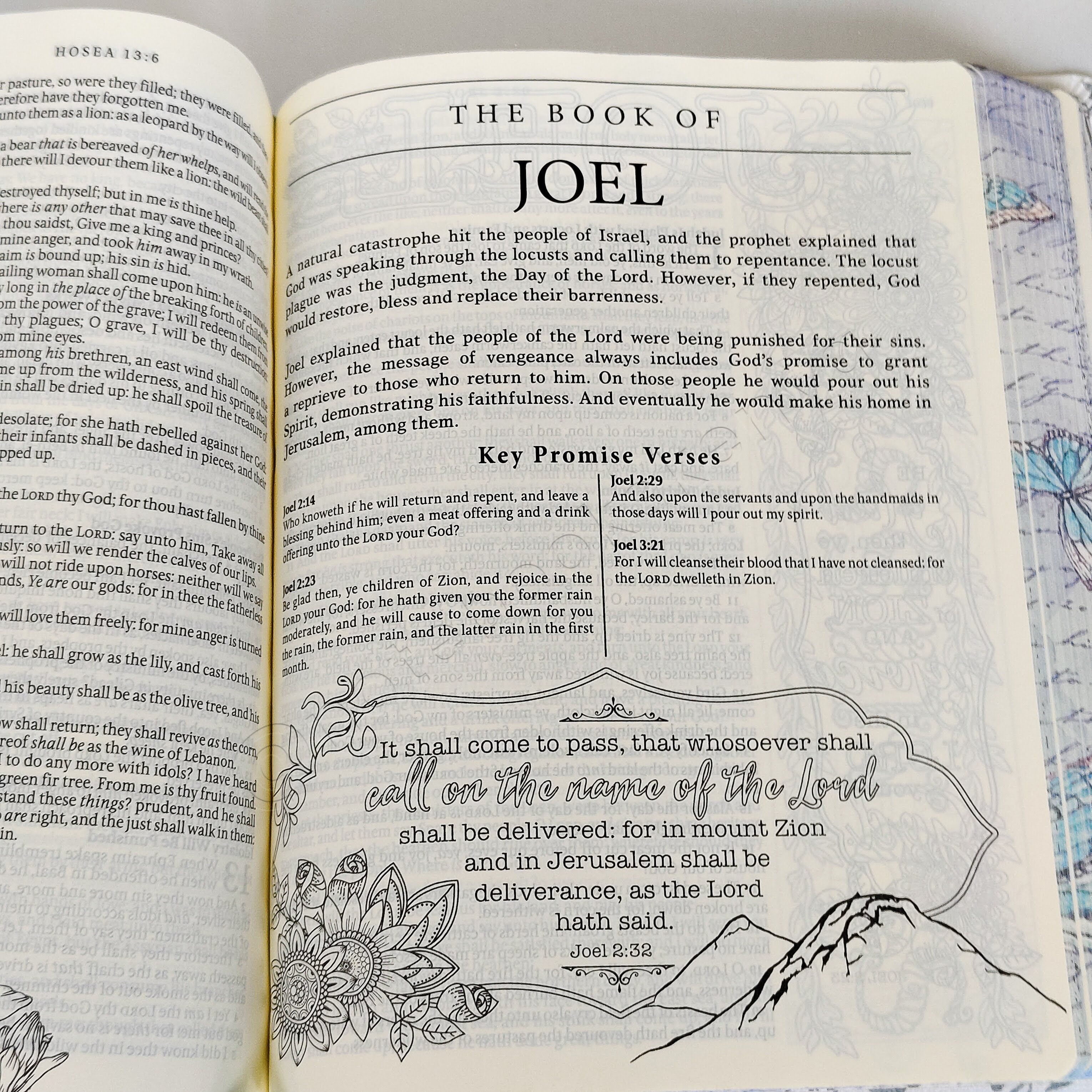 KJV My Promise Bible – Butterflies Edition | Christian Bible KJV | King James Version (KJV) | Floral Bible | Girl Gift  | Journaling Bible | Coloring Bible