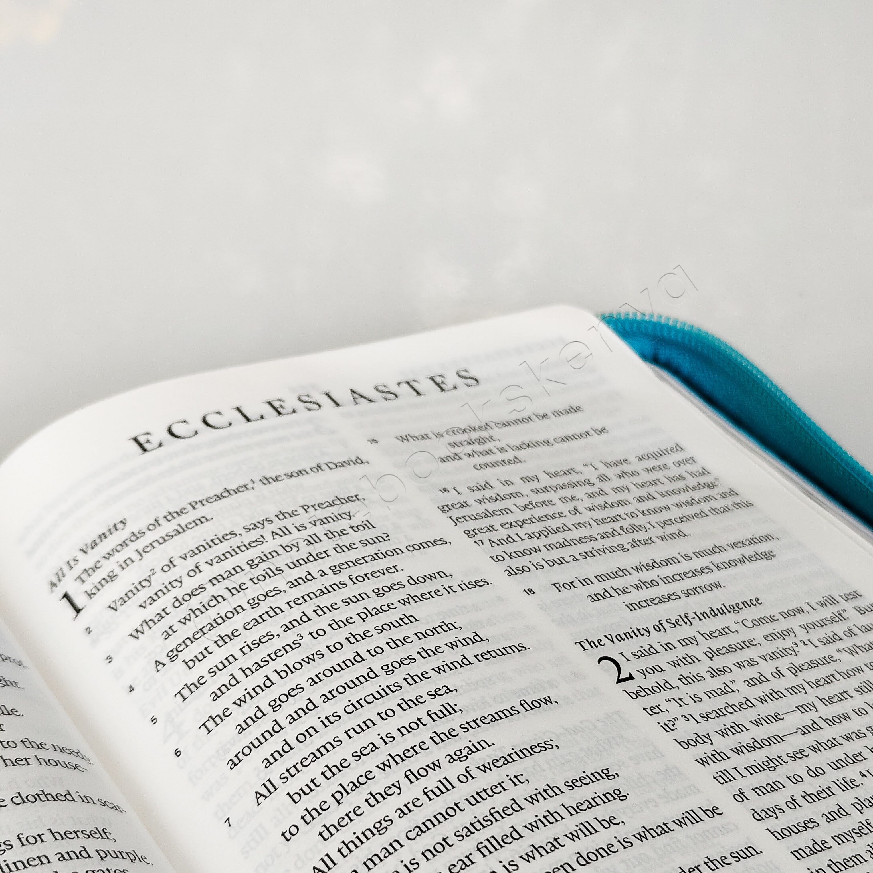 ESV Turquoise Faux Leather Standard Bible | Christian Bible ESV | English Standard Version (ESV) | Floral Bible | Girl Gift | Zipped Bible | Concordance Bible | Complete ESV text | Thumb Indexed Bible