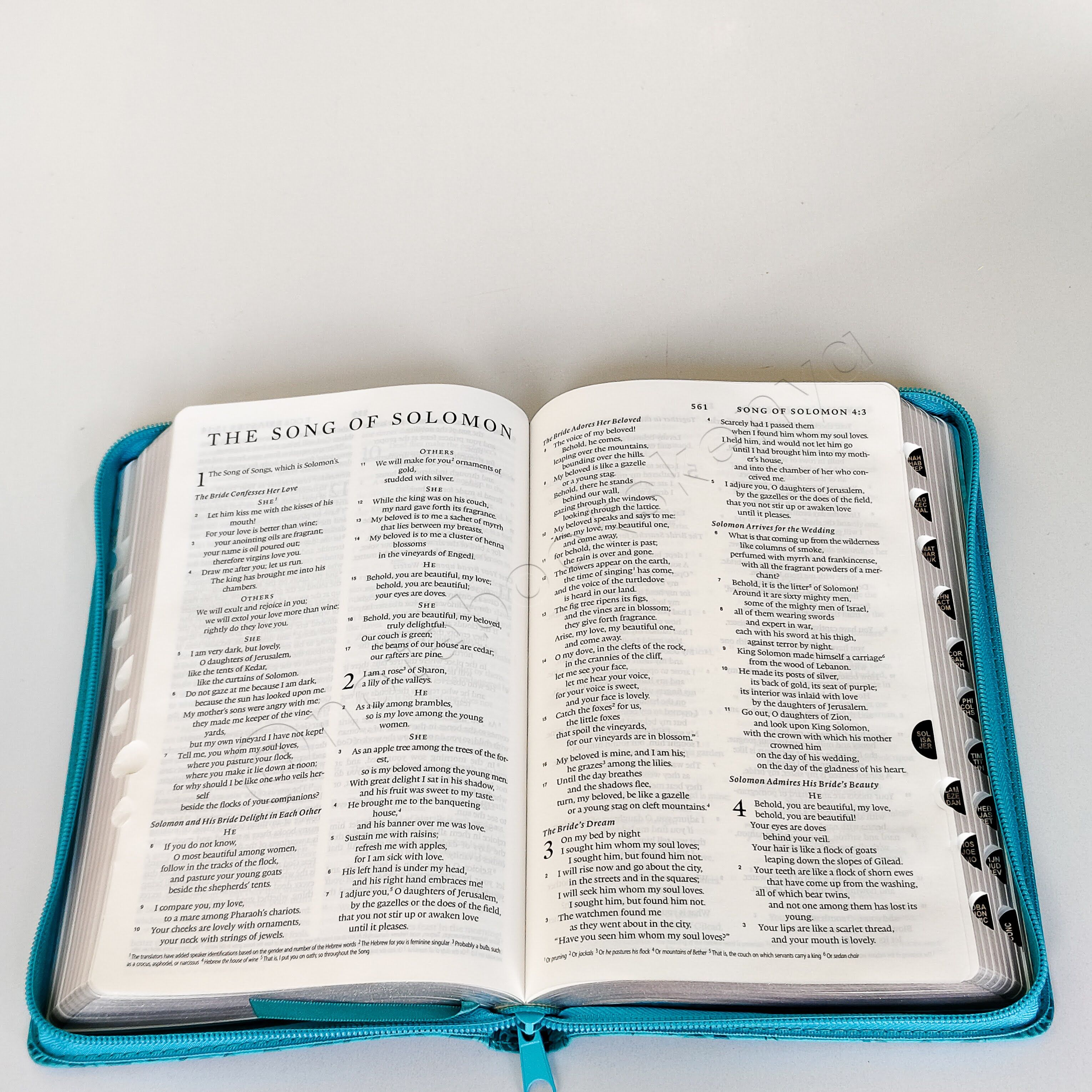 ESV Turquoise Faux Leather Standard Bible | Christian Bible ESV | English Standard Version (ESV) | Floral Bible | Girl Gift | Zipped Bible | Concordance Bible | Complete ESV text | Thumb Indexed Bible
