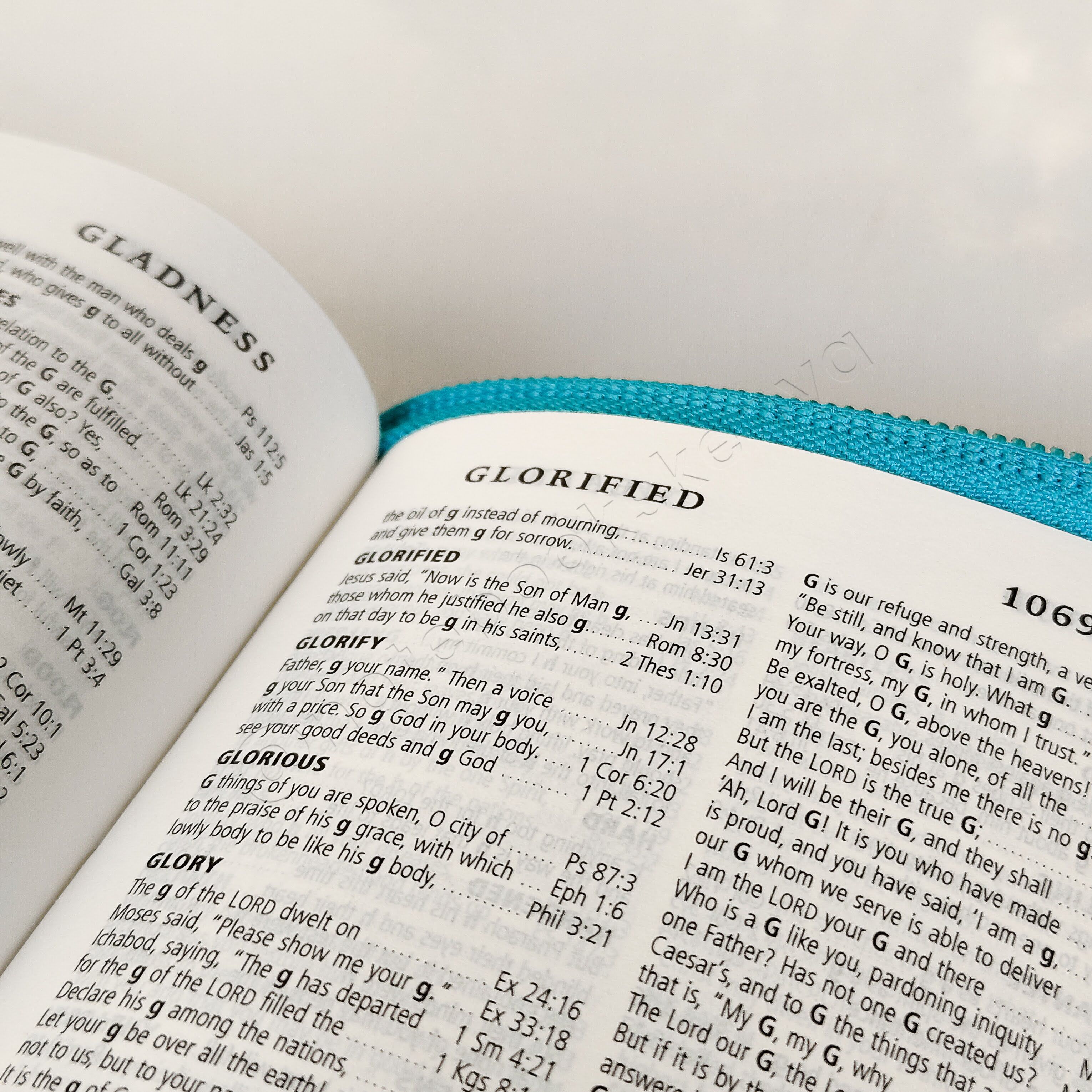 ESV Turquoise Faux Leather Standard Bible | Christian Bible ESV | English Standard Version (ESV) | Floral Bible | Girl Gift | Zipped Bible | Concordance Bible | Complete ESV text | Thumb Indexed Bible