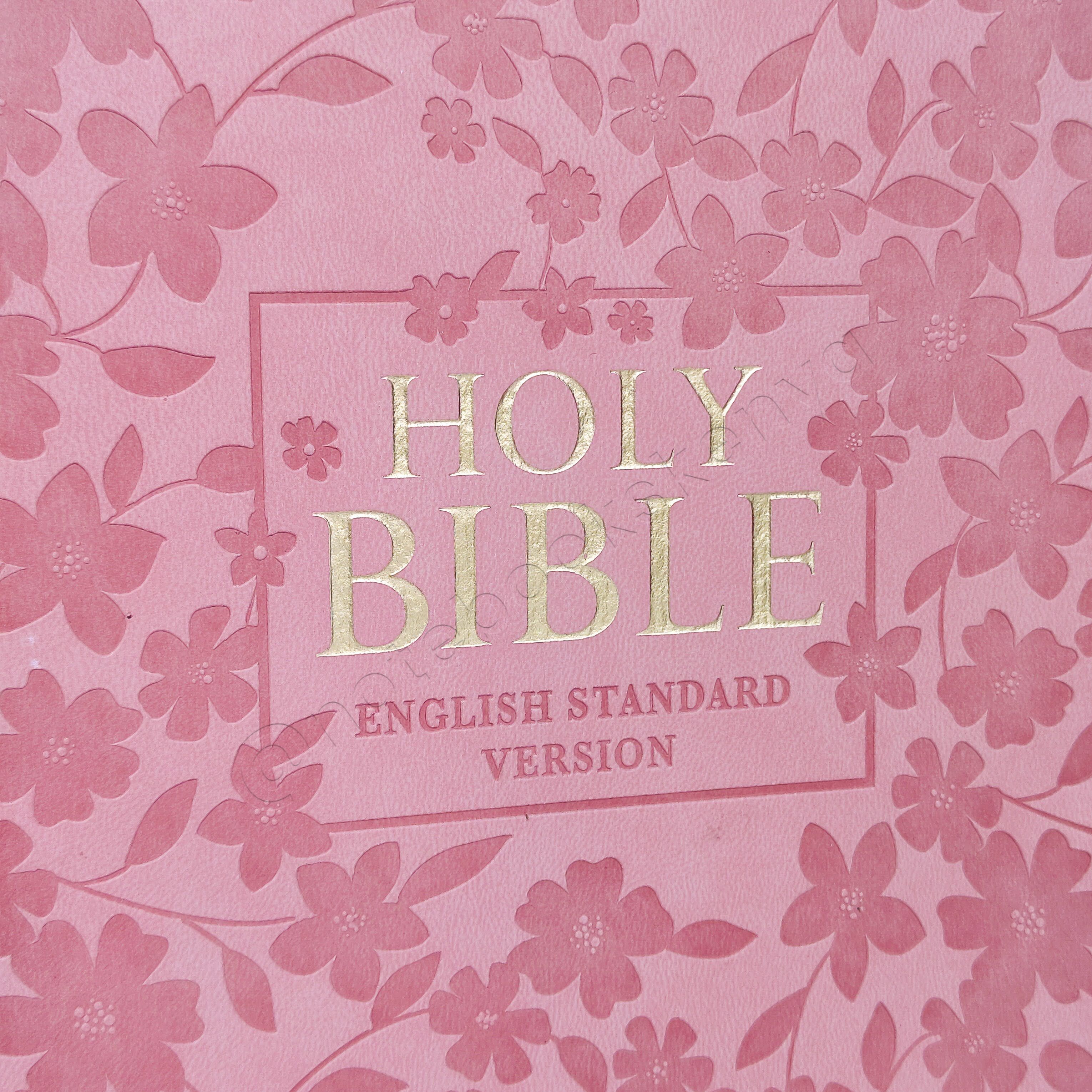 ESV Turquoise Faux Leather Standard Bible | Christian Bible ESV | English Standard Version (ESV) | Floral Bible | Girl Gift | Zipped Bible | Concordance Bible | Complete ESV text | Thumb Indexed Bible