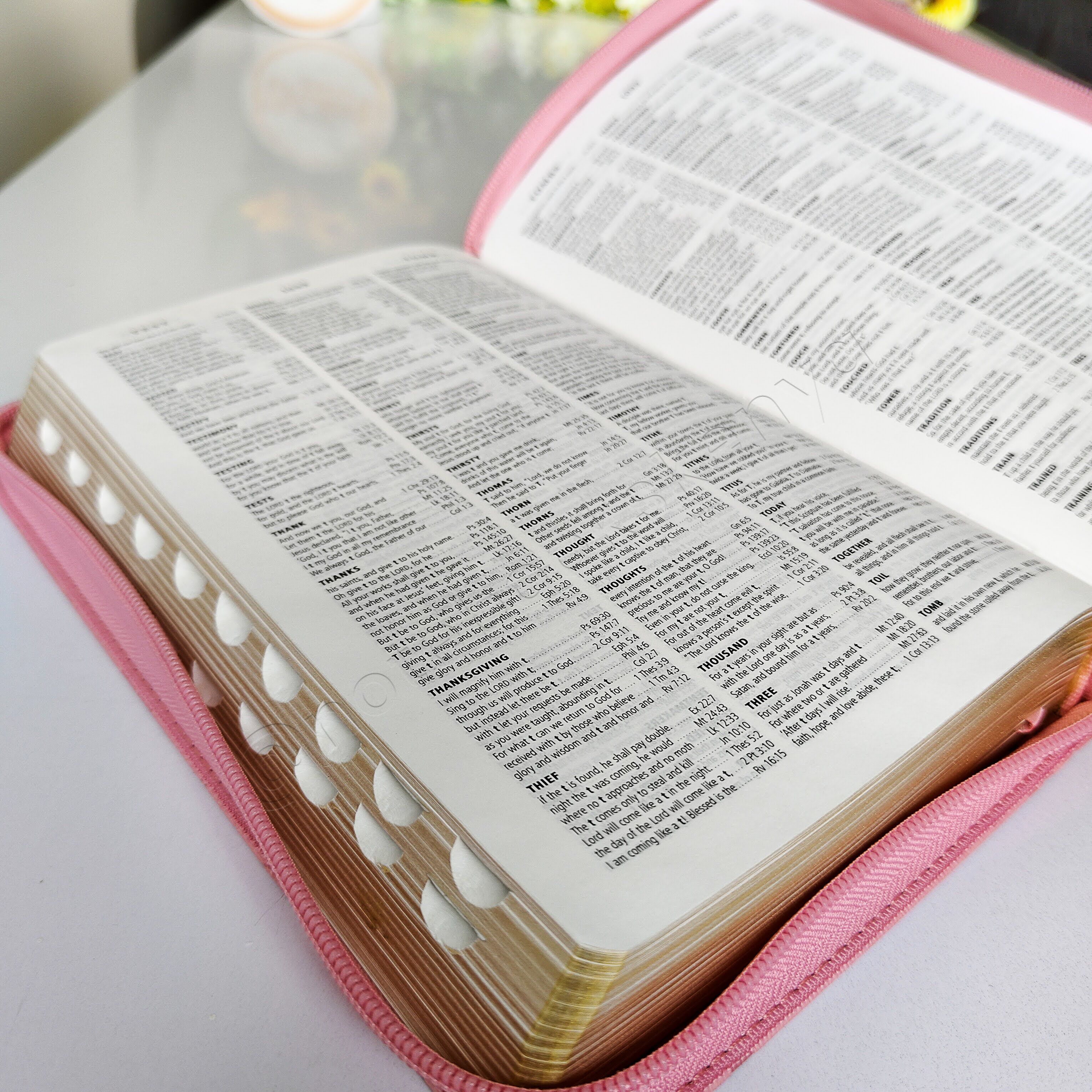 ESV Turquoise Faux Leather Standard Bible | Christian Bible ESV | English Standard Version (ESV) | Floral Bible | Girl Gift | Zipped Bible | Concordance Bible | Complete ESV text | Thumb Indexed Bible