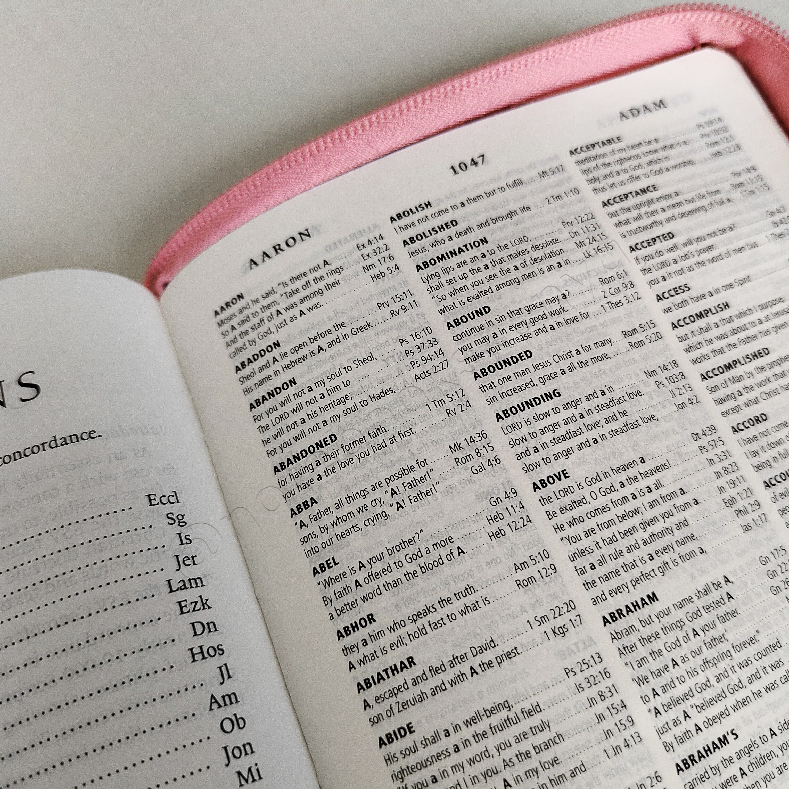 ESV Turquoise Faux Leather Standard Bible | Christian Bible ESV | English Standard Version (ESV) | Floral Bible | Girl Gift | Zipped Bible | Concordance Bible | Complete ESV text | Thumb Indexed Bible