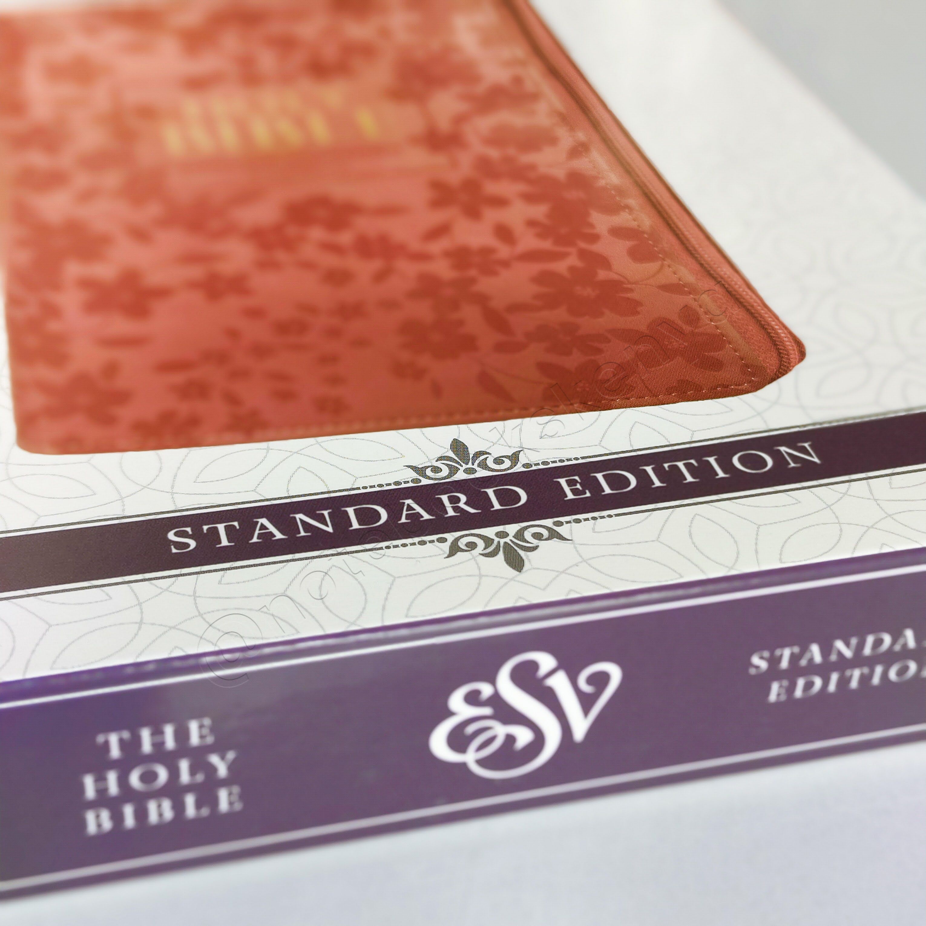 ESV Turquoise OR Pink Faux Leather Standard Bible | Christian Bible ESV | English Standard Version (ESV) | Floral Bible | Girl Gift | Zipped Bible | Concordance Bible | Thumb Indexed Bible