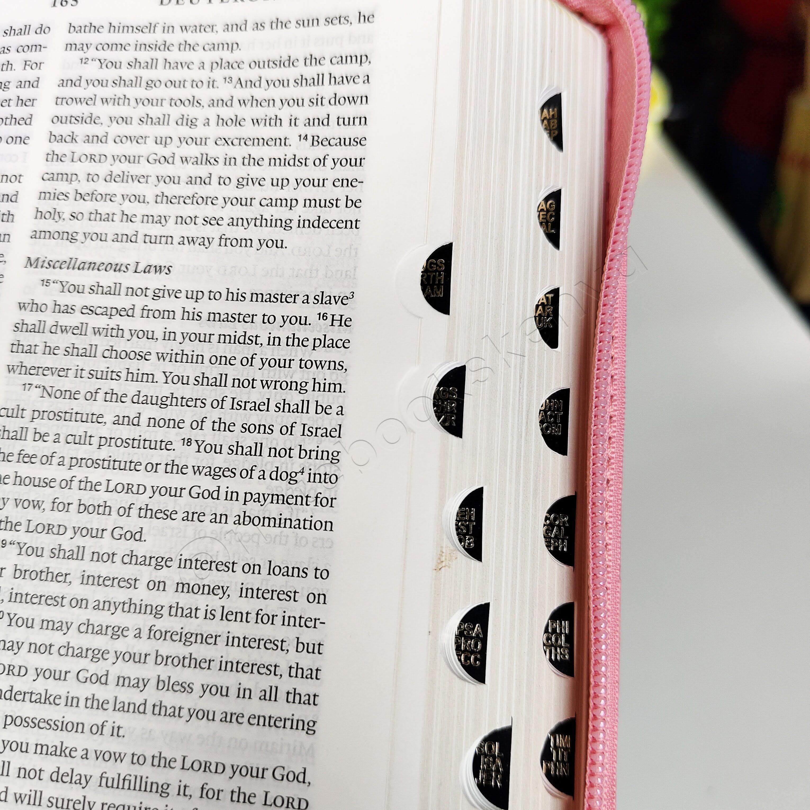 ESV Turquoise OR Pink Faux Leather Standard Bible | Christian Bible ESV | English Standard Version (ESV) | Floral Bible | Girl Gift | Zipped Bible | Concordance Bible | Thumb Indexed Bible