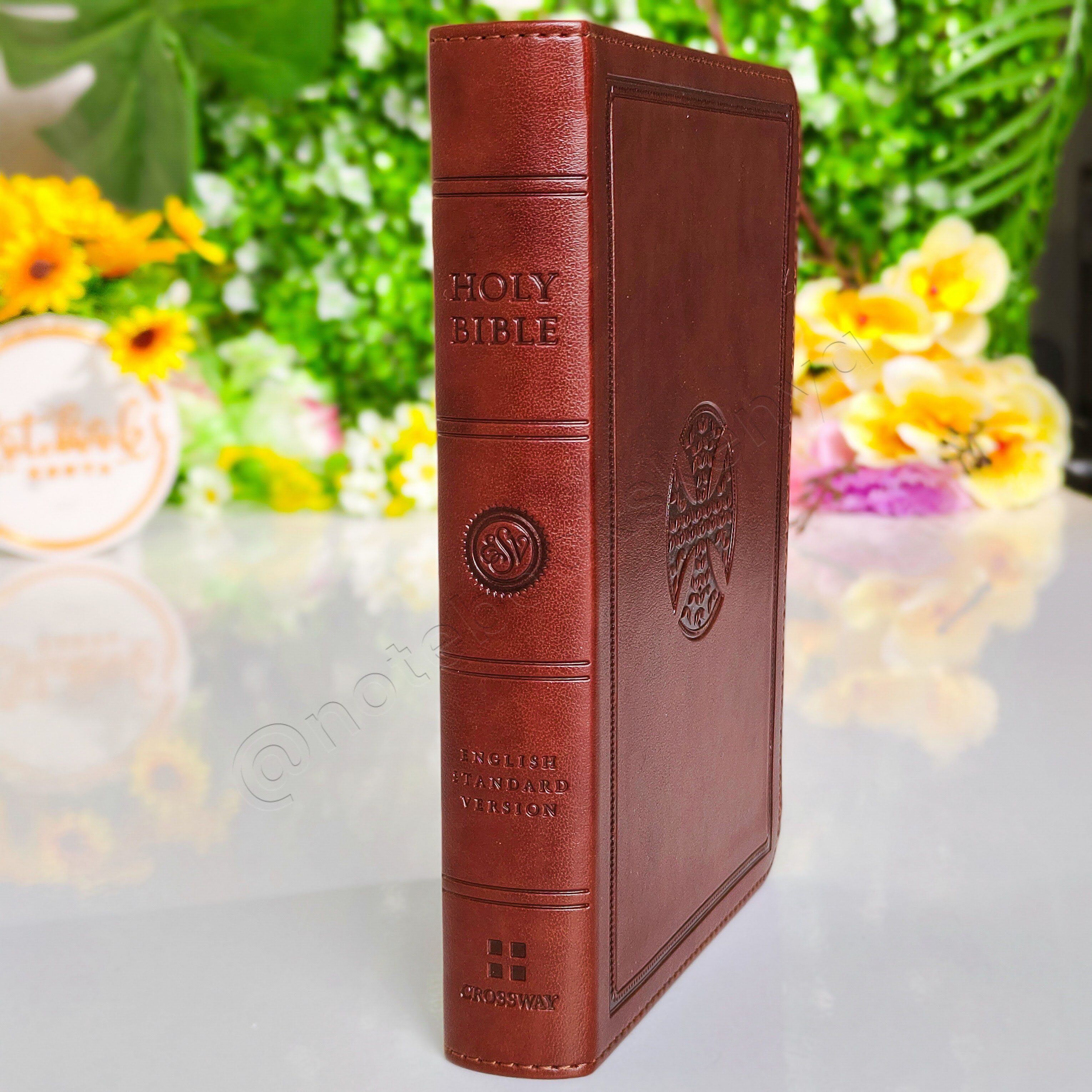 Elegant and Portable | ESV Large Print Compact Bible | Christian Bible ESV | English Standard Version(ESV) | Large Print Bible | Gift | Concordance Bible | Complete ESV text | Thumb Indexed Bible